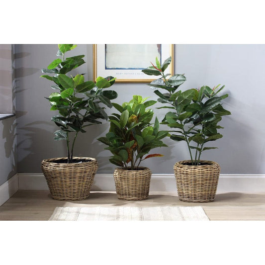 Set of 3 Lined Plant Baskets