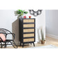 Venice Tall 5 Drawer Unit Rattan & Mango Wood in Black